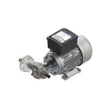 UP6/AC gear pump PEEK
